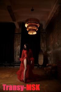 ���� ������������� Bella �� ������ ������