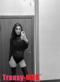 ���� ������������� ������ �� ������ ������