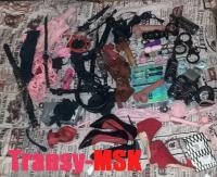 ���� ������������� SANDRA �� ������ ������