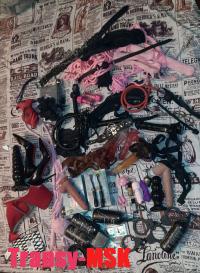 ���� ������������� SANDRA �� ������ ������