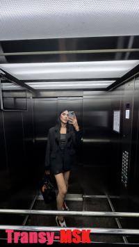 ���� ������������� Albina �� ������ ������