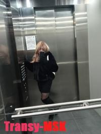 ���� ������������� �������� �� ������ ������