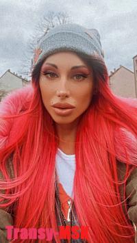 ���� ������������� ������ �� ������ ������